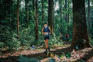 BIB: 
                            <button type="button" onclick="openModal(26130047)" class="btn btn-primary btn-sm float-right btn-popup" data-toggle="modal" data-target=".modal-high-quality">
                        <i class="fas fa-shopping-cart"></i> Add to Cart
                    </button>
                                            <button type="button" onclick="isThisMe(26130047, true)" class="btn btn-success btn-sm float-right btn-popup btn-isme hidden" data-toggle="tooltip" data-placement="bottom" title="นี่คือรูปของคุณใช่ไหม คลิกที่นี่เพื่อเอาเข้าอัลบั้ม">
                        <i class="fas fa-plus"></i> Add to album
                    </button>
                    <button type="button" onclick="isThisMe(26130047, false)" class="btn btn-warning btn-sm float-right btn-popup btn-isnotme hidden">
                        <i class="fas fa-ban"></i> Remove from album
                    </button>